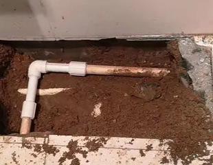 娄底市测漏水哪家好