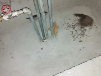 娄底市卫生间测漏水价格明细