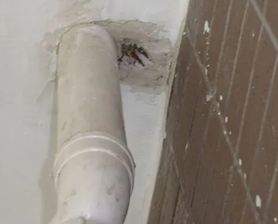 娄底市漏水检测哪家好